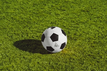 国际足联FIFA官方新闻发布会图片 - 发言人站在带有世界杯标志的背景前