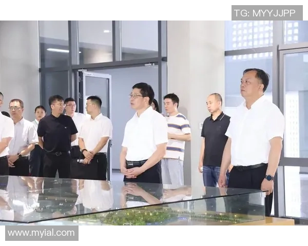 张帆的成长之路：从普通学生到行业领军人物的奋斗故事